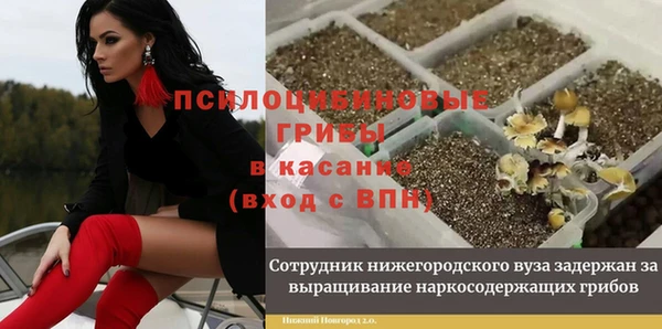 прущая мука Верхний Тагил