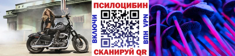 Галлюциногенные грибы Psilocybe  Воткинск 