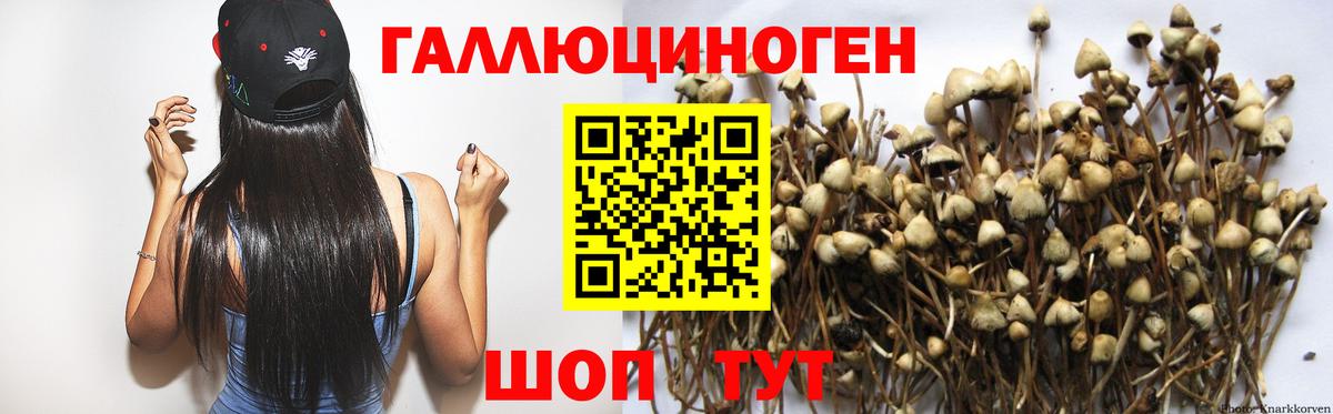Псилоцибиновые грибы Cubensis  Вход с VPN  Воткинск  Галлюциногенные грибы Magic Shrooms 